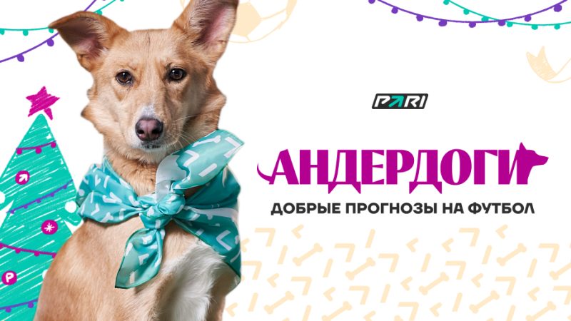 PARI выпускает «Андердогов». Собаки — подопечные фонда «РЭЙ» дадут прогнозы на футбольные матчи